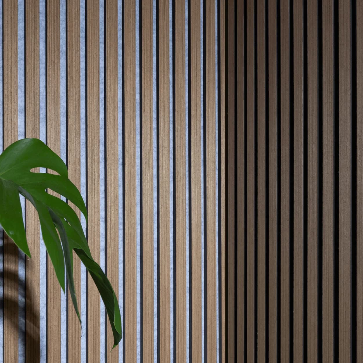 Services intérieurs PRZ Bâtiment
